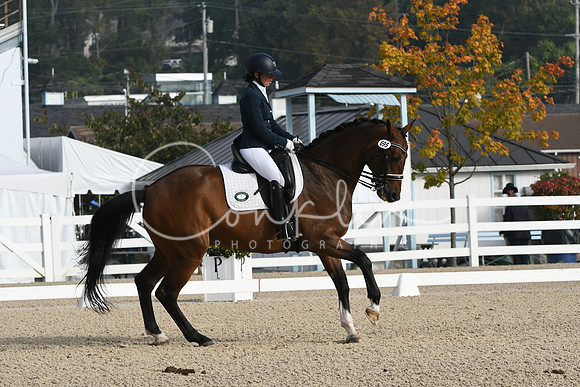 HSM_0096