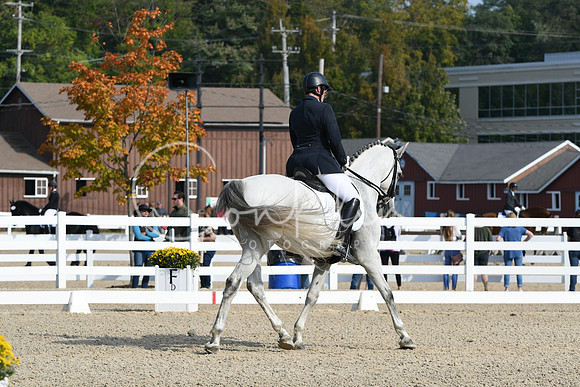 HSM_0769
