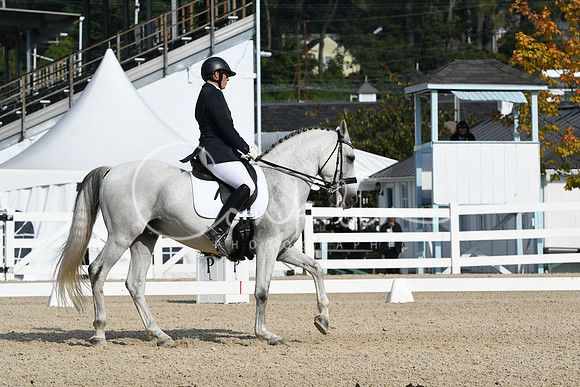 HSM_0774