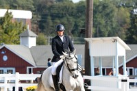 HSM_0775