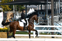 HSM_0418