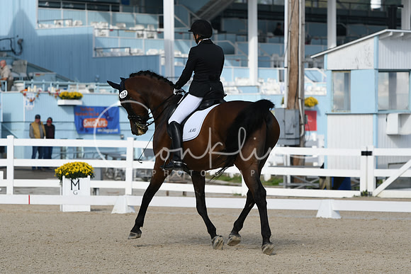 HSM_0428
