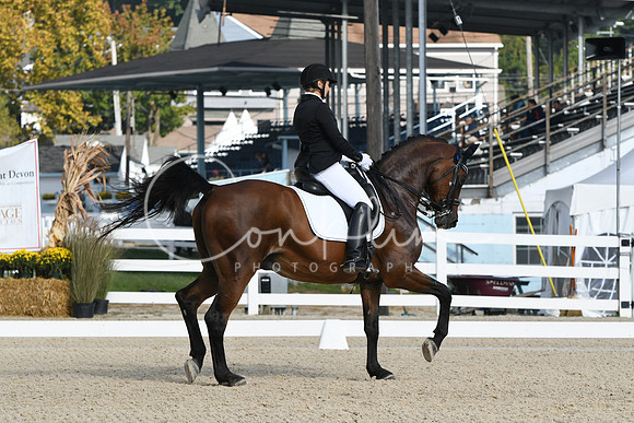 HSM_0439
