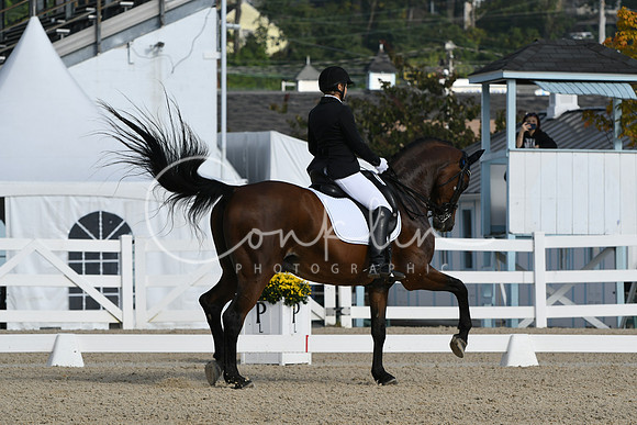 HSM_0441