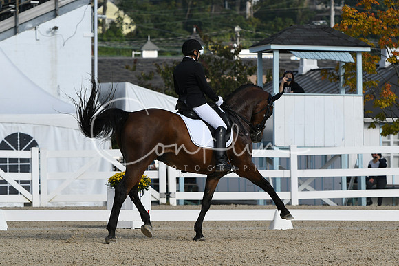 HSM_0442