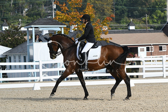 HSM_0443