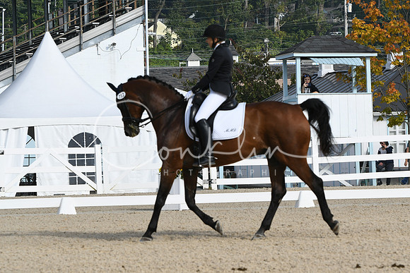 HSM_0446