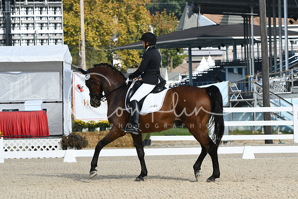 HSM_0447