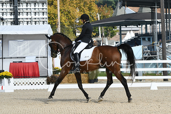 HSM_0448