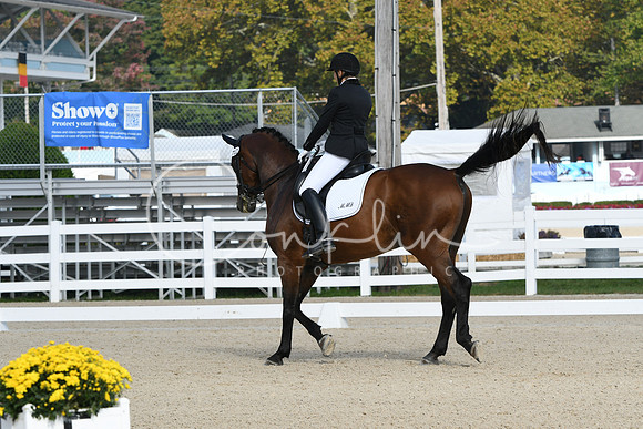 HSM_0454