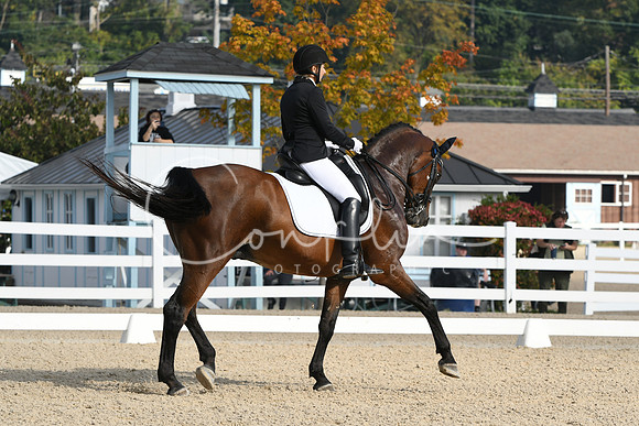 HSM_0467
