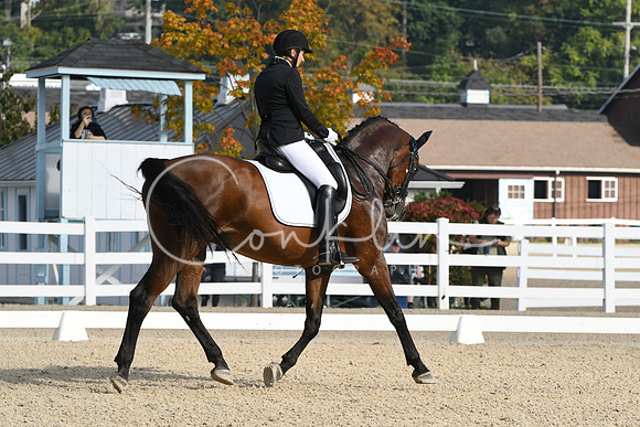 HSM_0468