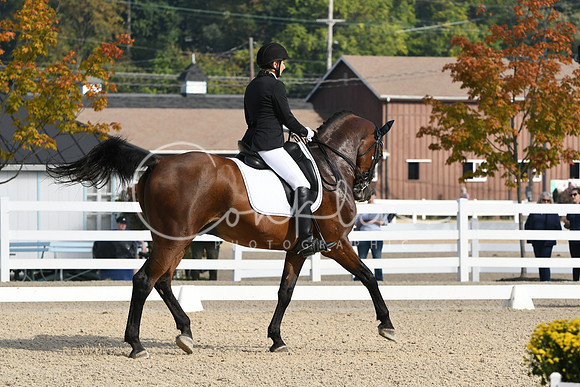 HSM_0469