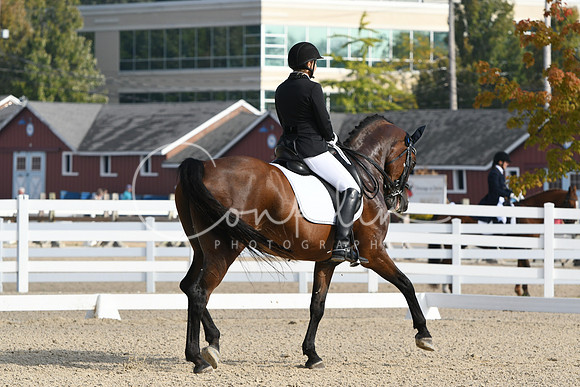 HSM_0471