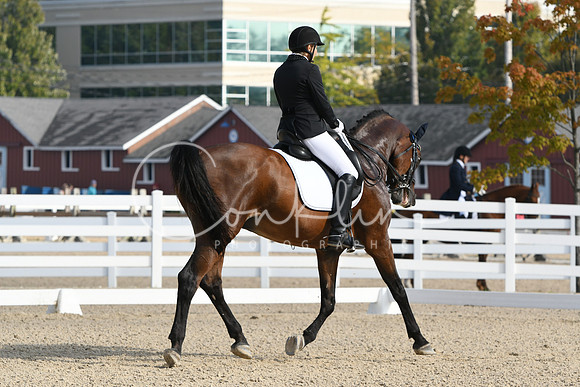 HSM_0472