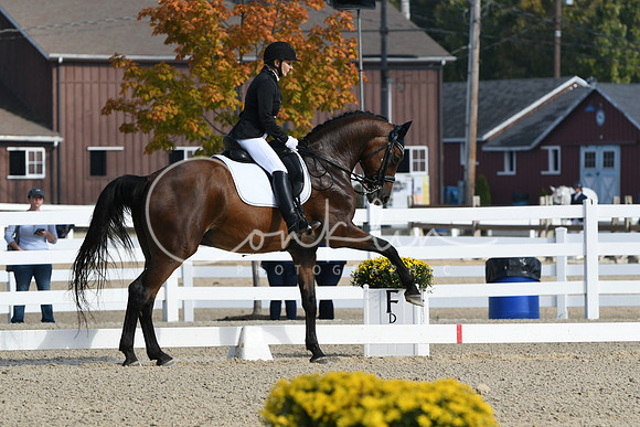 HSM_0482