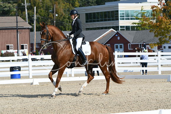 HSM_0997