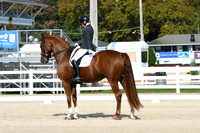 HSM_0999