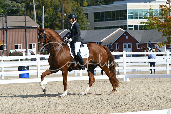 HSM_0998