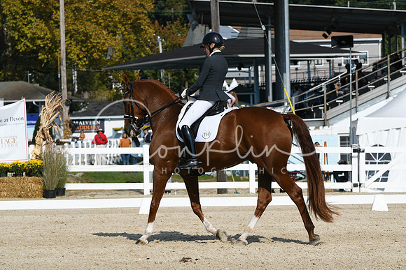 HSM_1021