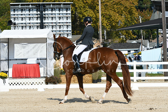 HSM_1022