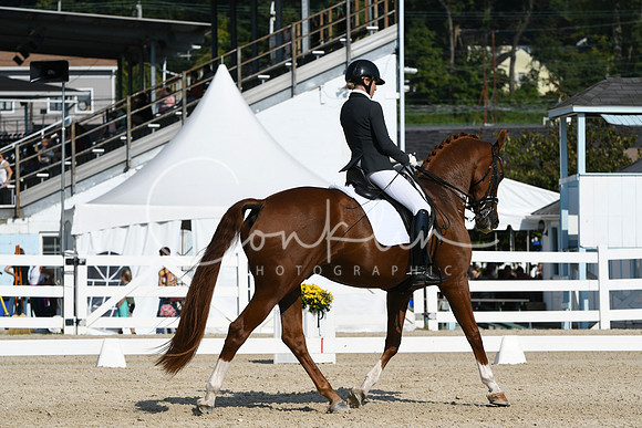 HSM_1028