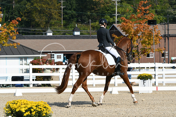 HSM_1033