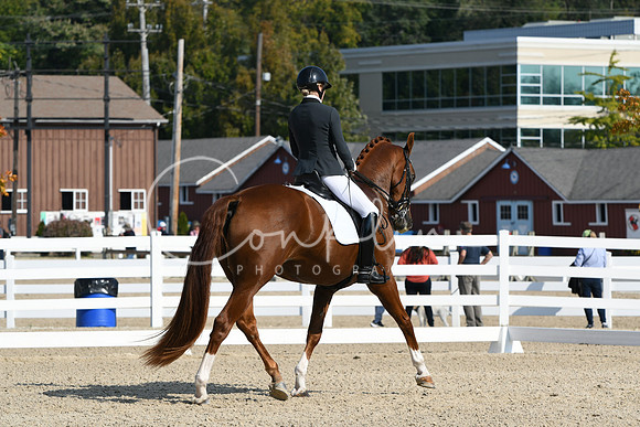 HSM_1034