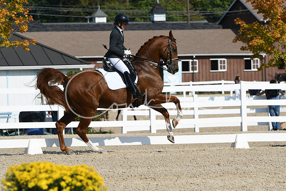 HSM_1042