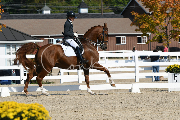 HSM_1043