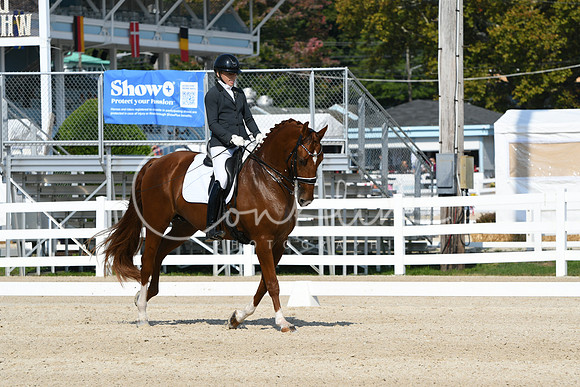 HSM_1049