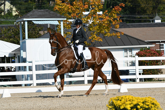 HSM_1055