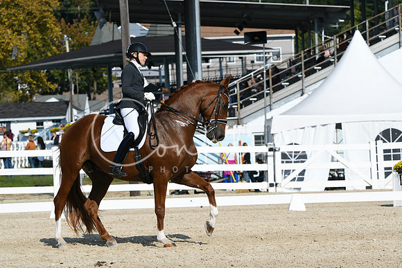 HSM_1059