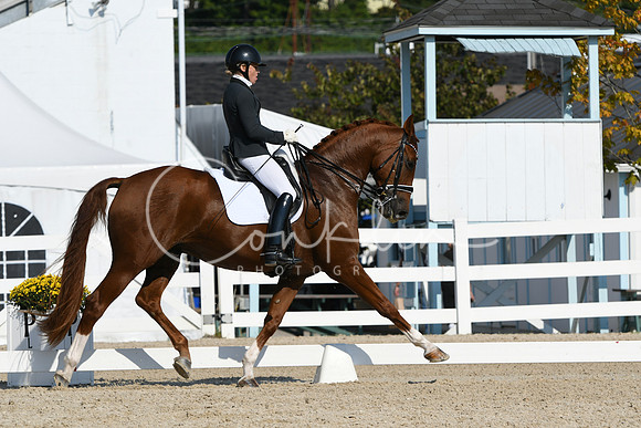 HSM_1076