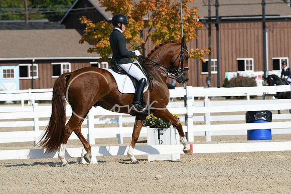 HSM_1078