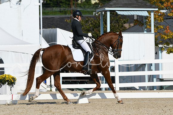 HSM_1077