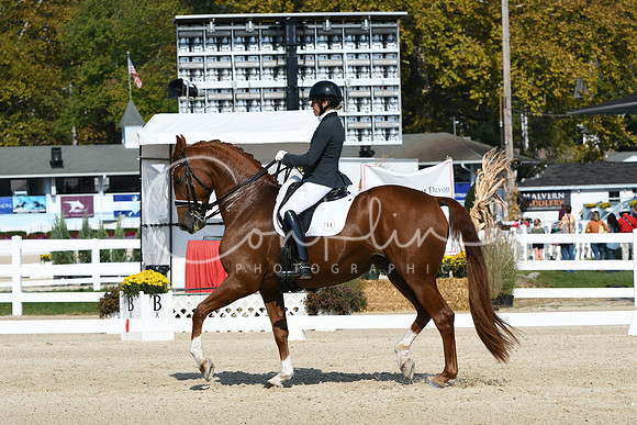 HSM_1081