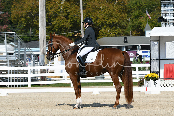 HSM_1084