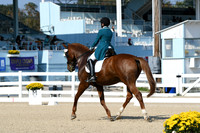 HSM_1095