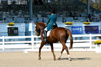 HSM_1097