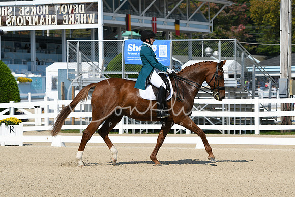 HSM_1100