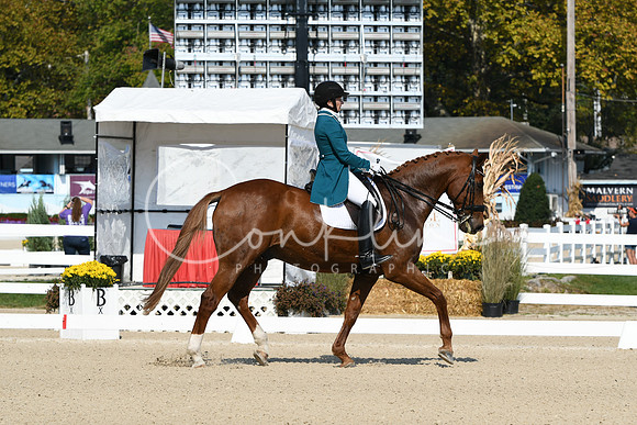 HSM_1102