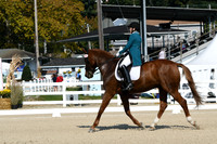 HSM_1104