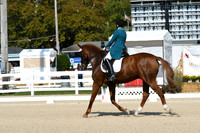 HSM_1106