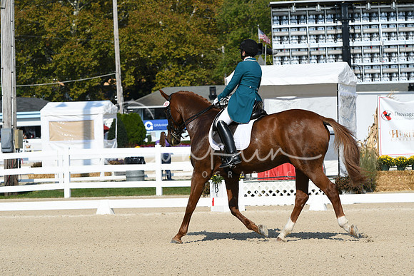 HSM_1106