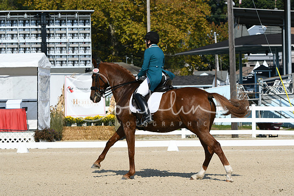 HSM_1139