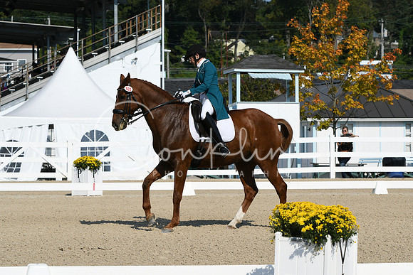 HSM_1156