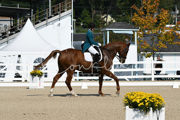 HSM_1161