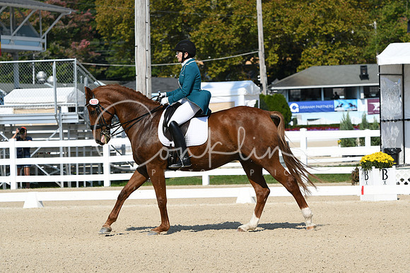 HSM_1165