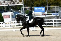HSM_1753